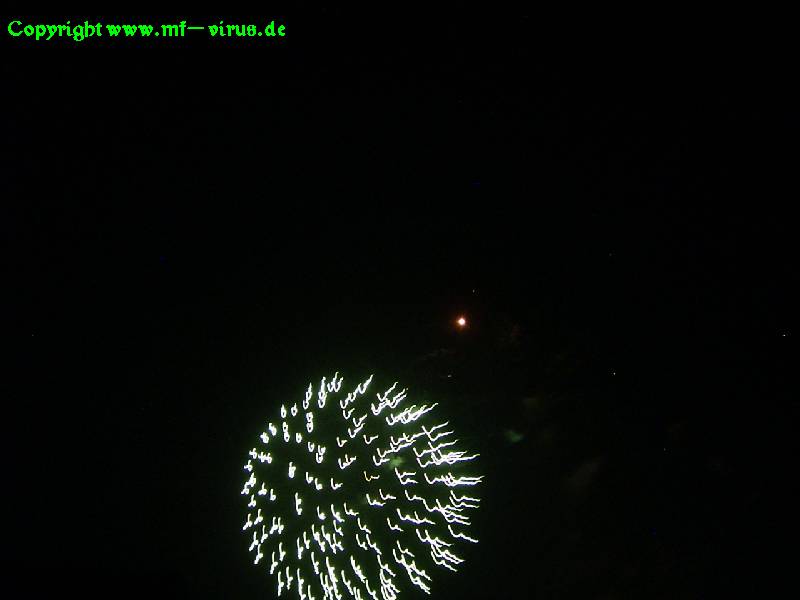 SiF2006_39.jpg